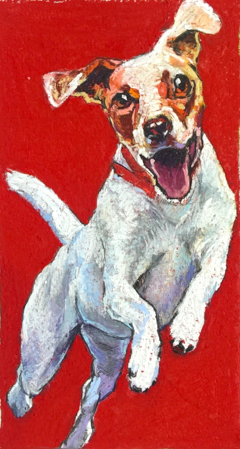 Jack Russel, August 2018, 9x5 inches