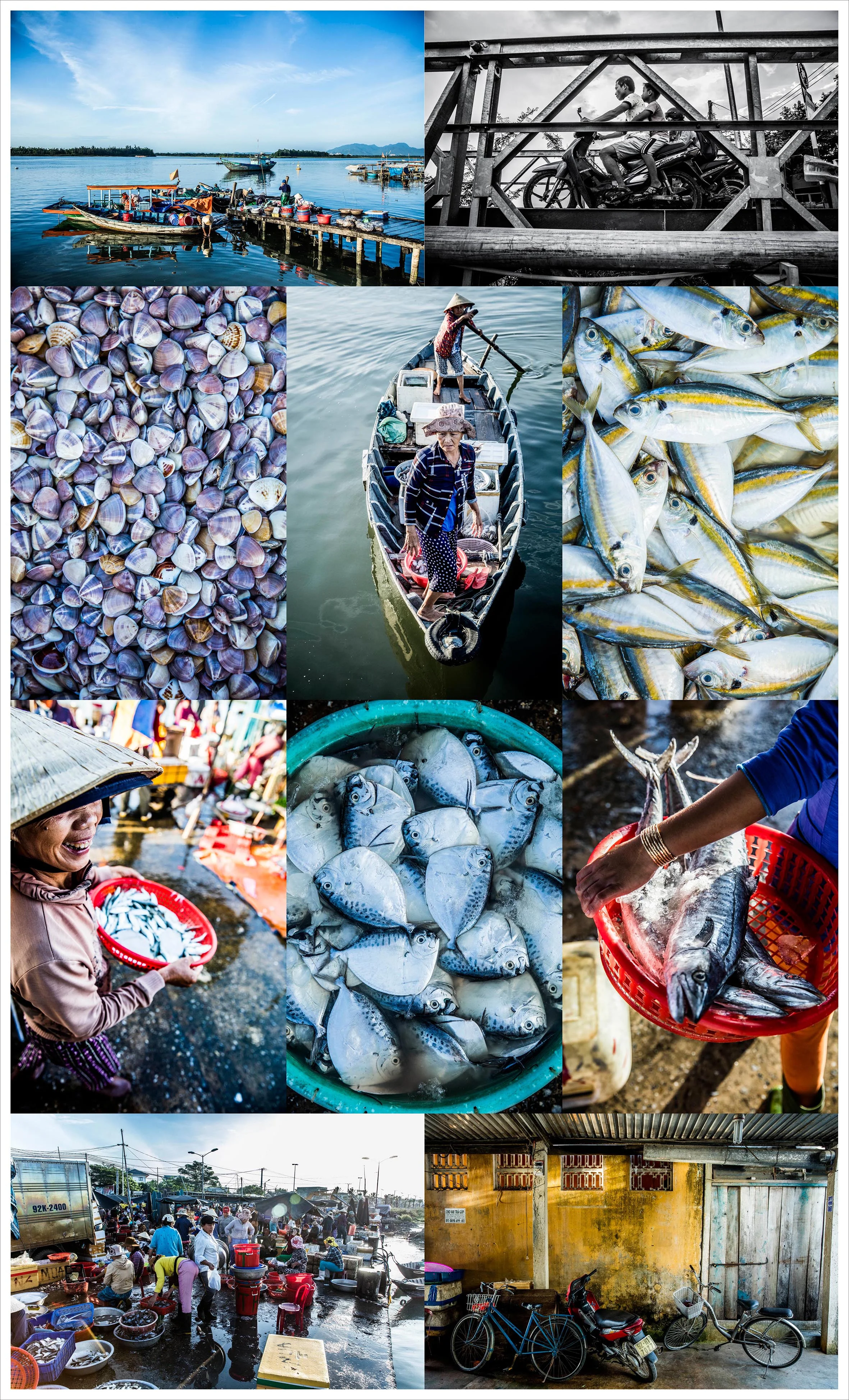 FishMarket.jpg