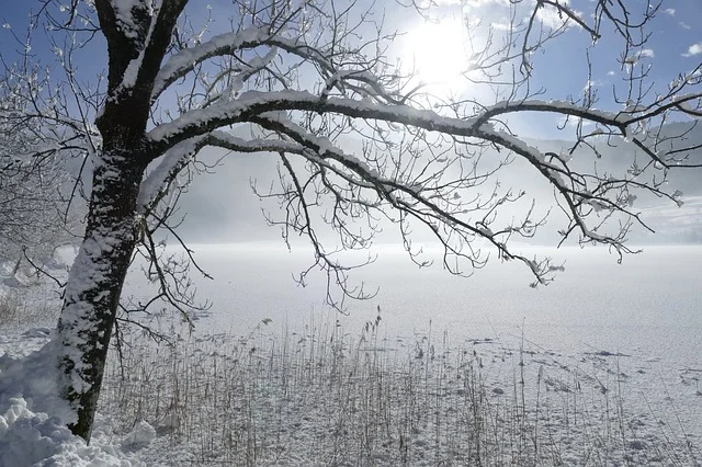 winter-3061397_640.jpg