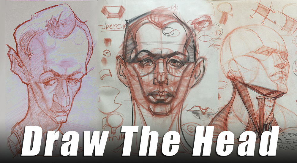 Draw Head Front.jpg