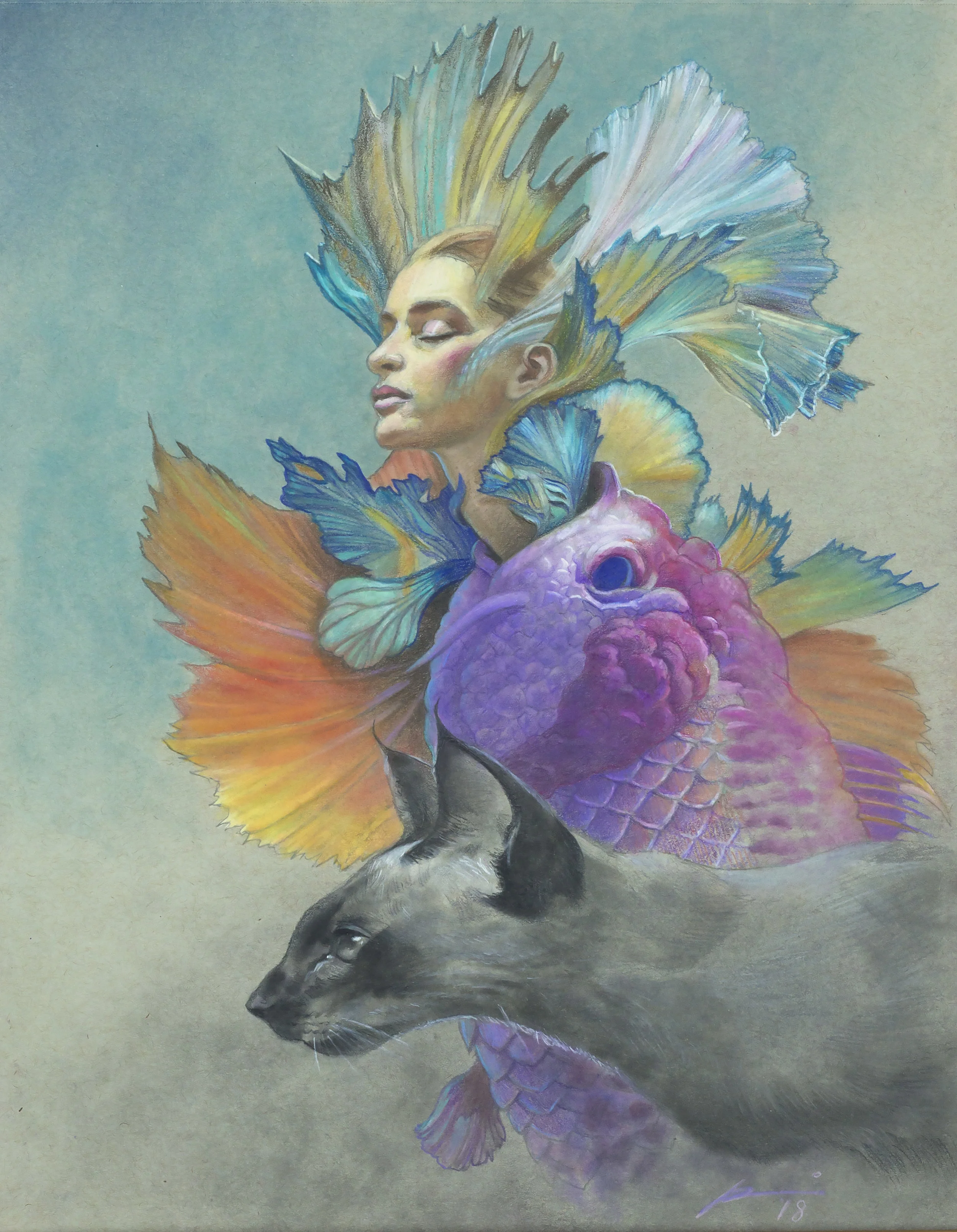 cat fish ENVY.jpg