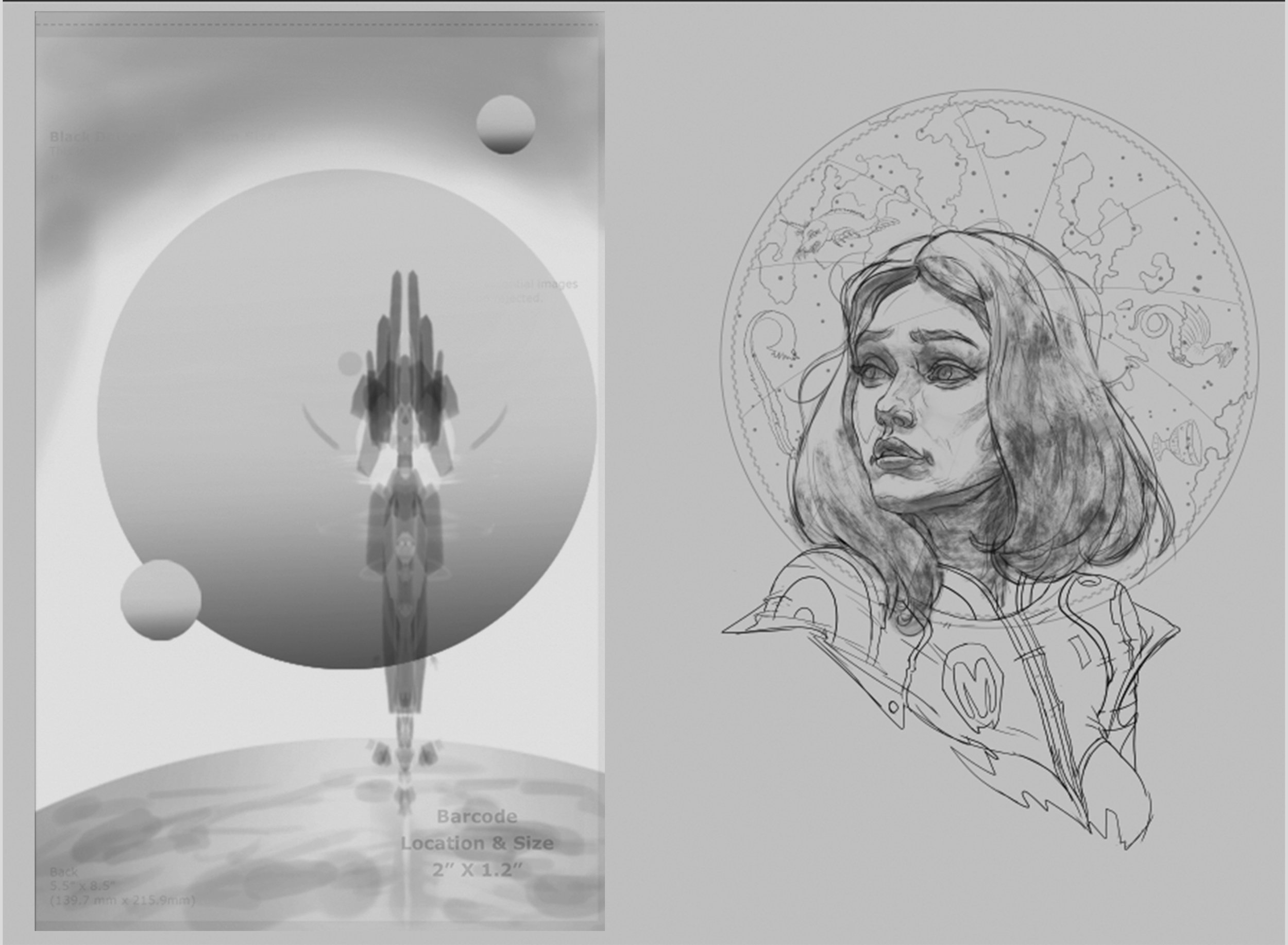  Layout of the final front and back cover design in rough stage before gong to the final art. 