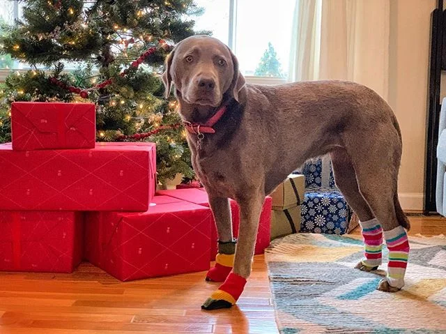 Remember that time when all you got for Christmas was socks?