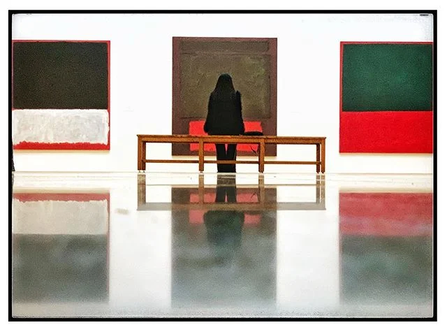 A Rose among the Rothkos