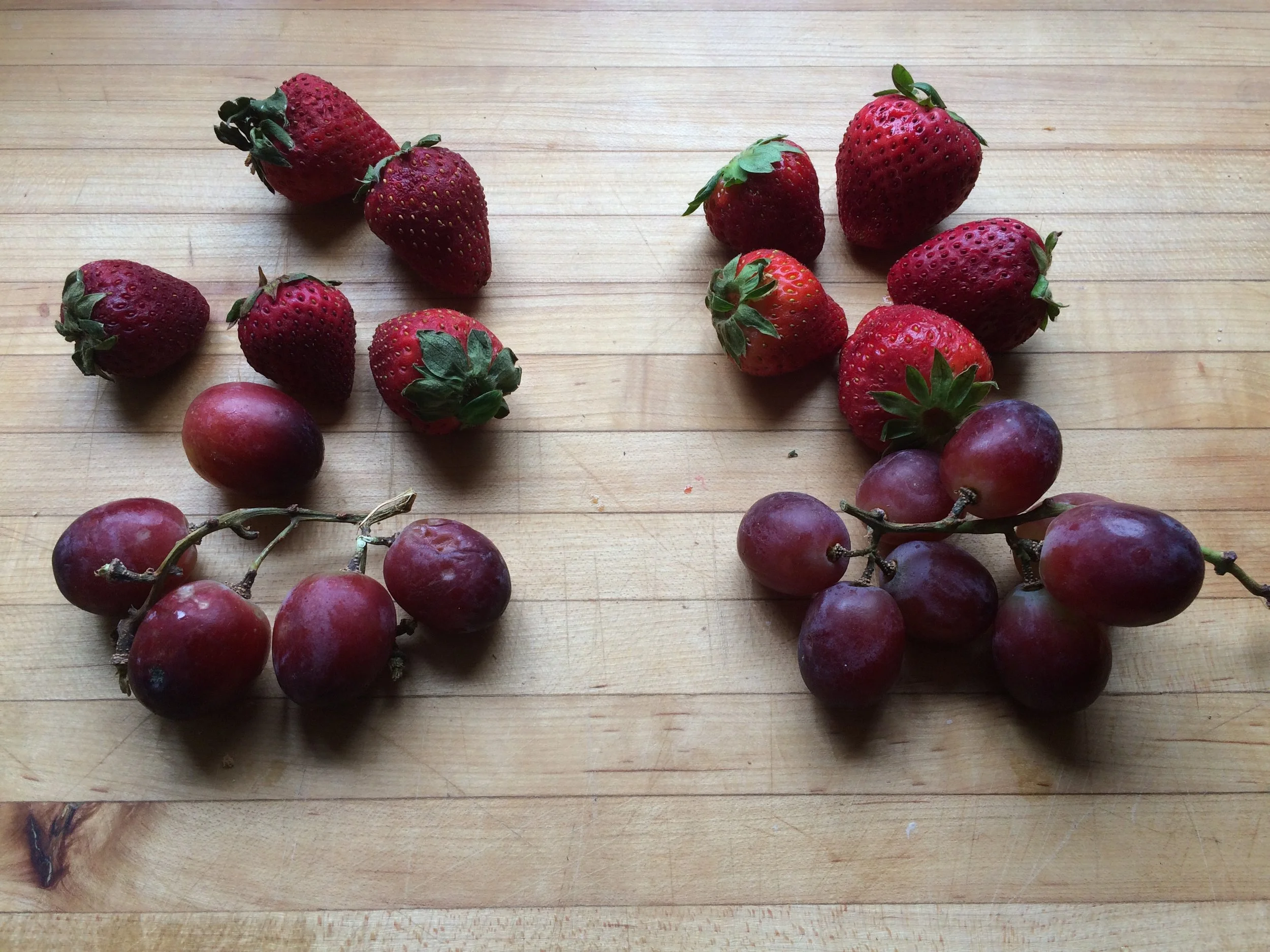 Vacuum Seal Fresh Fruit — That Seals It! Vacuum lid for 10 can