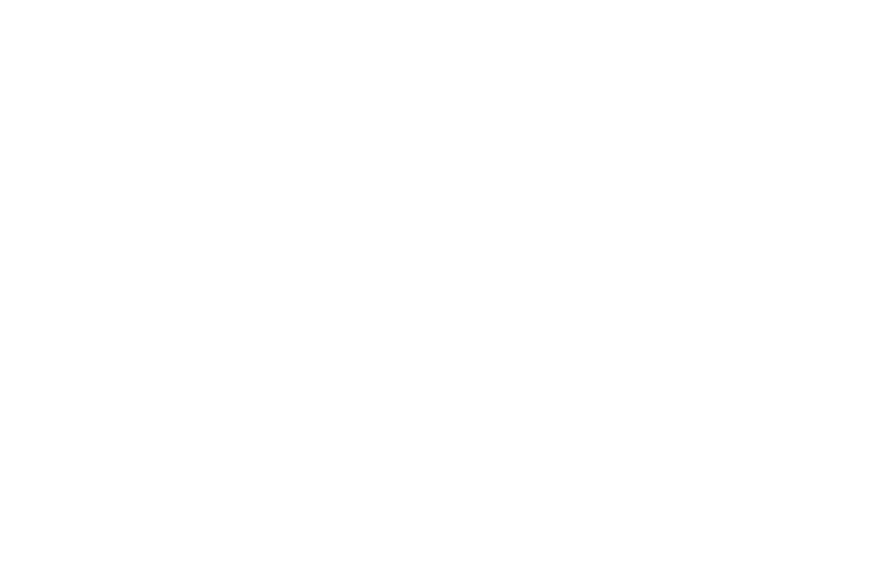 OFFICIAL SELECTION - South Sound Experimental Film Festival - 2023.png