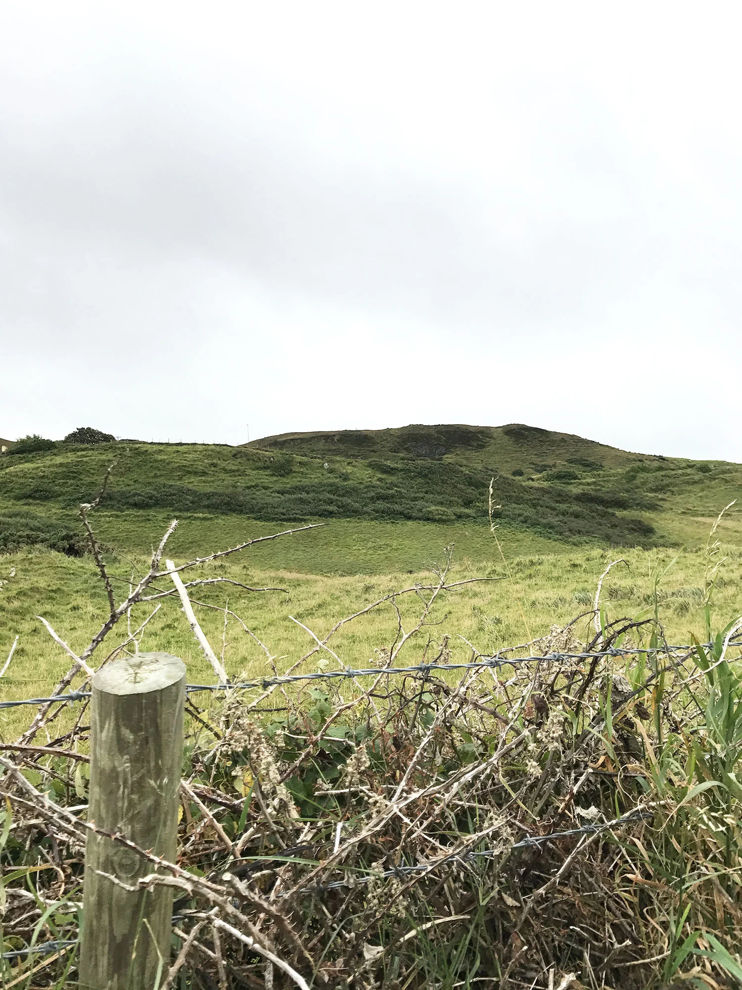 The drive back from Ballintoy.