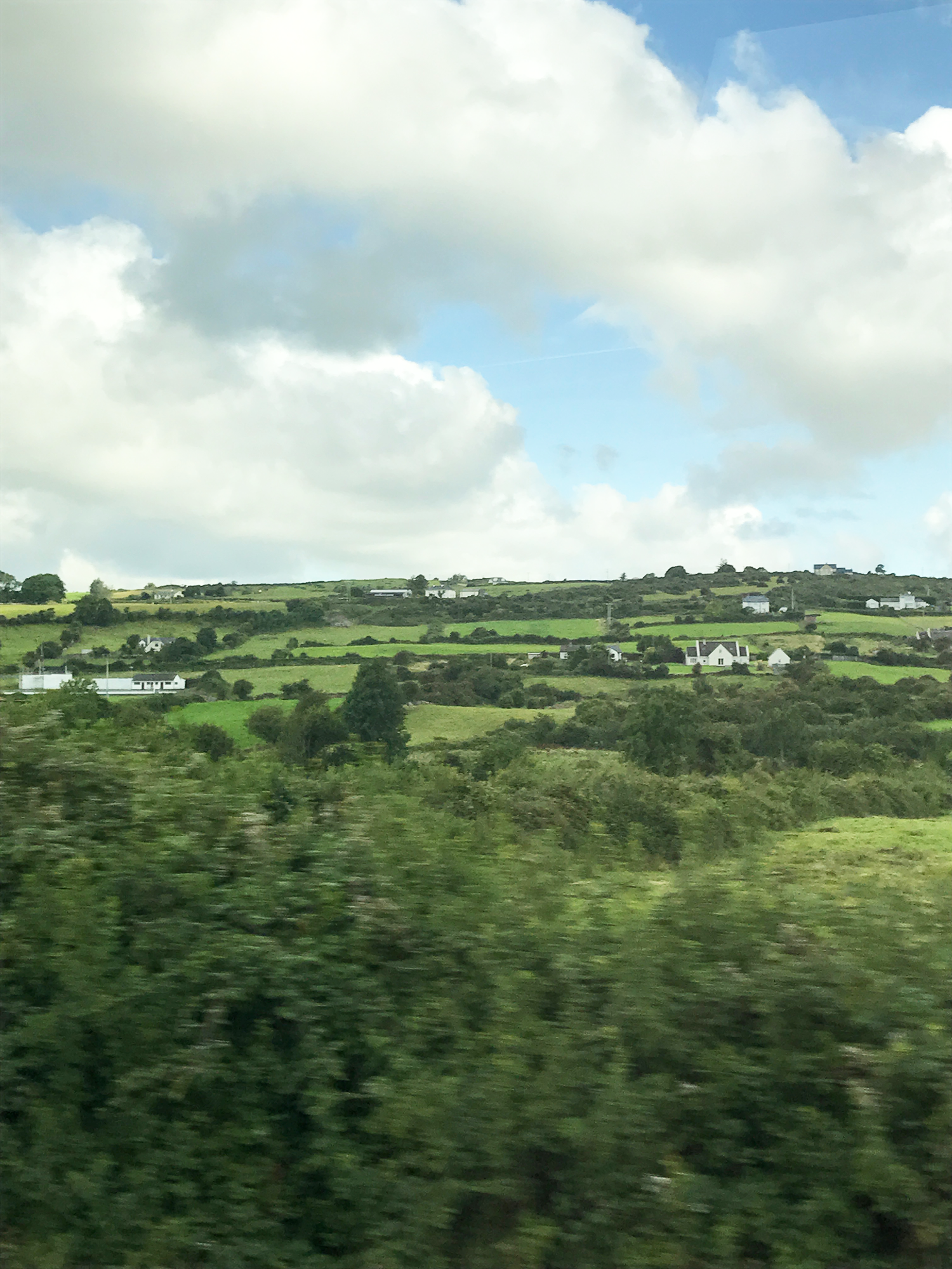 The view out my window on the bus. Also (not pictured), I've never seen so many cows and sheep in my life. 