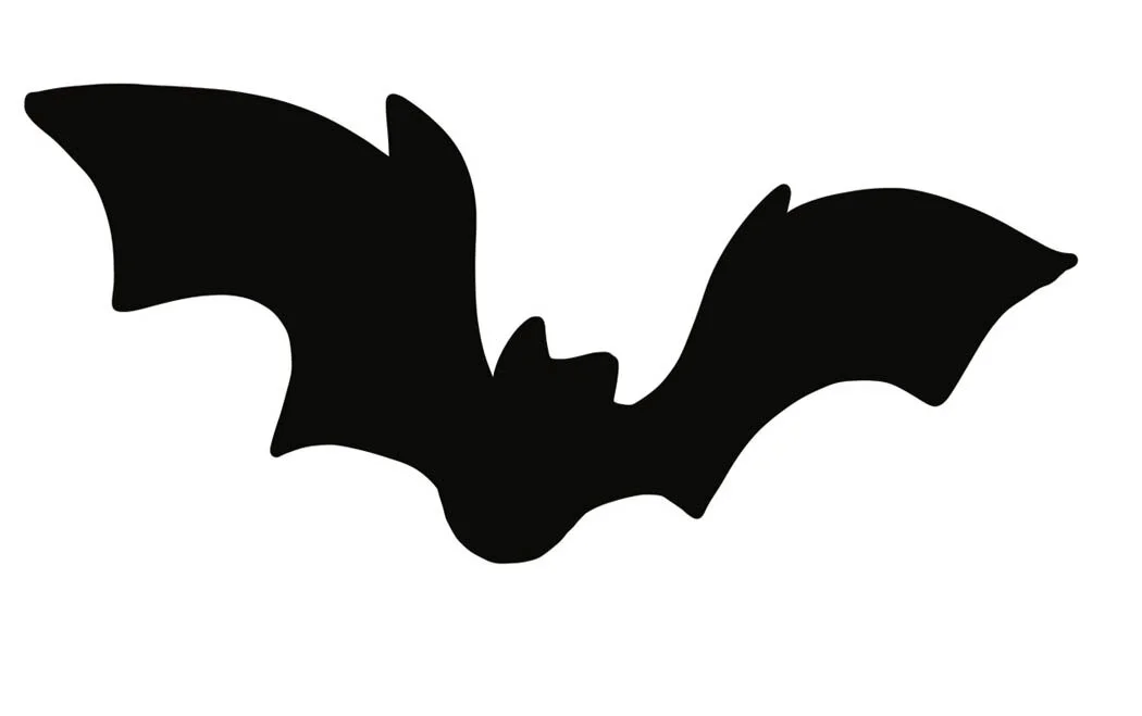 Bat3.jpg