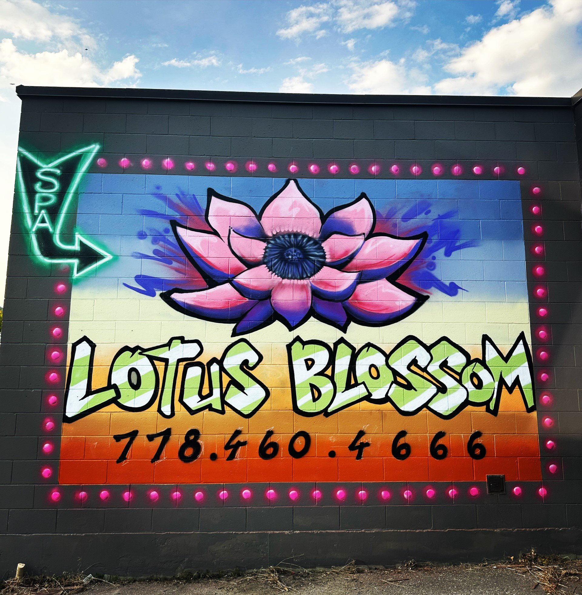 Lotus Blossom Spa and Massage 