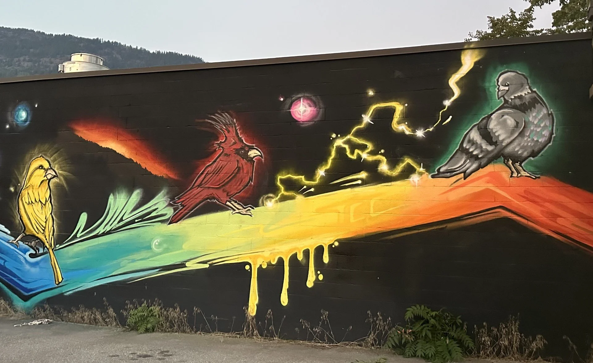 Prideful Birds on a Wire 