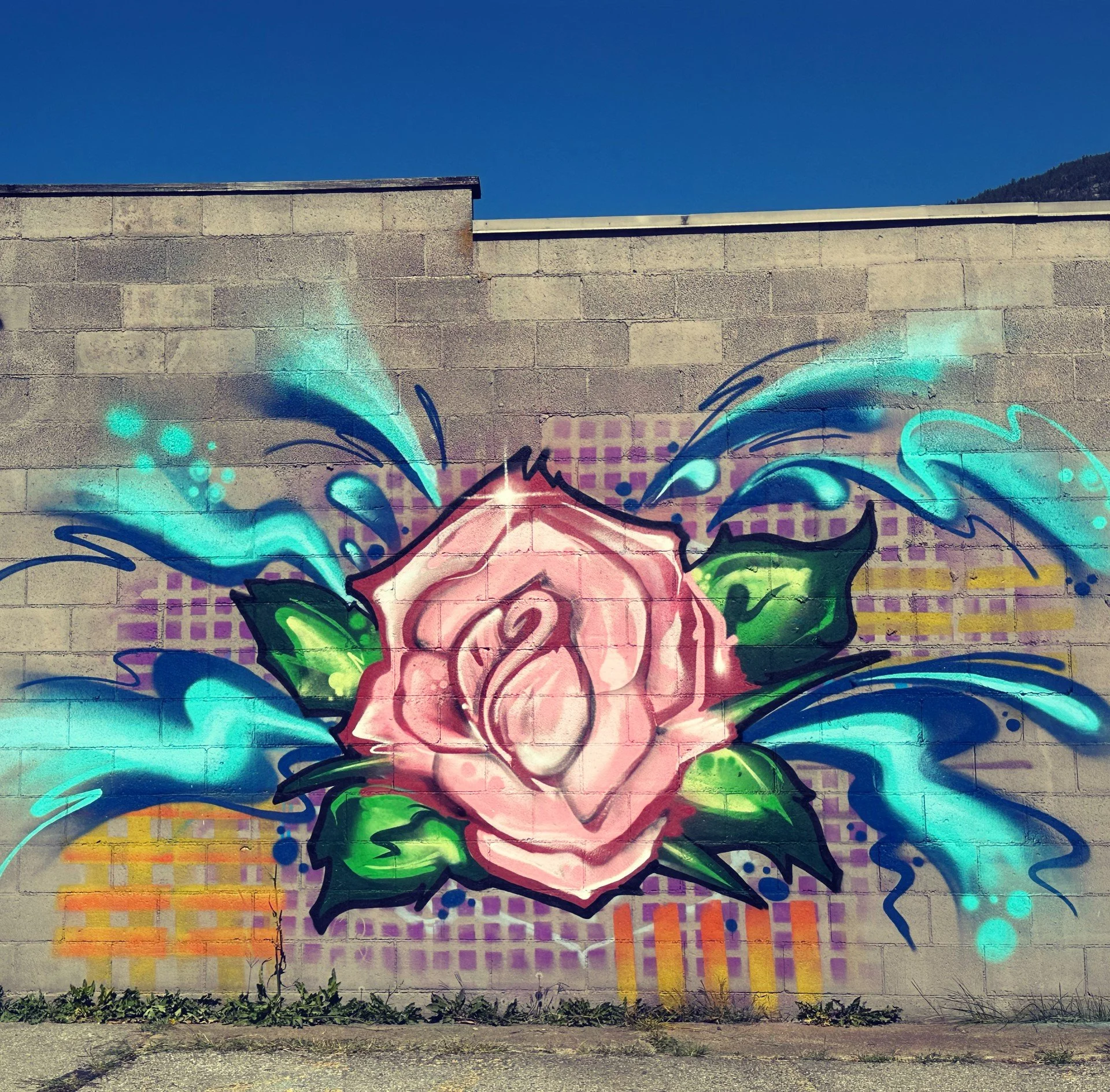 Splashy Rose Throw-up 