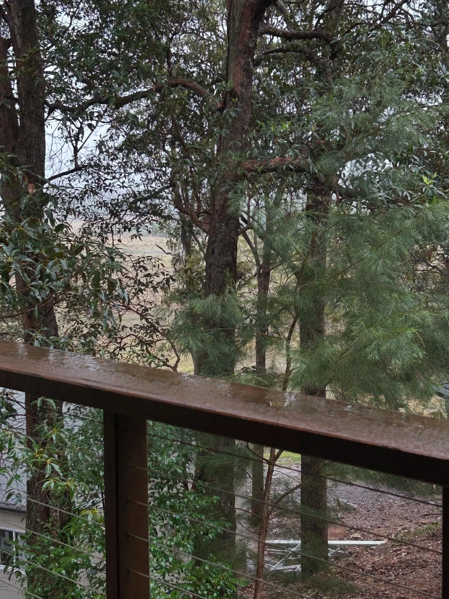 It&rsquo;s a mystical day for a wedding  #yandinastation #moodyvibes #weddingdayrain