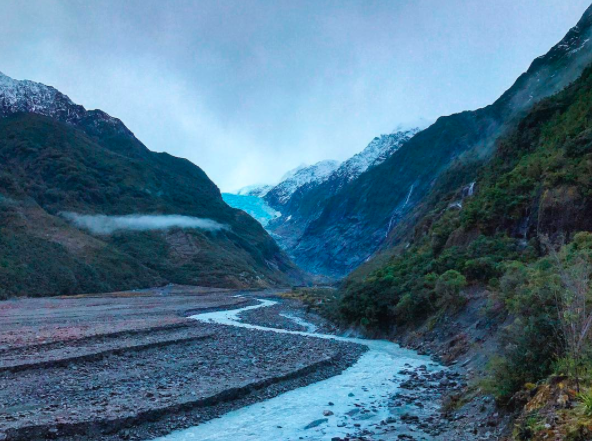 nz1.png