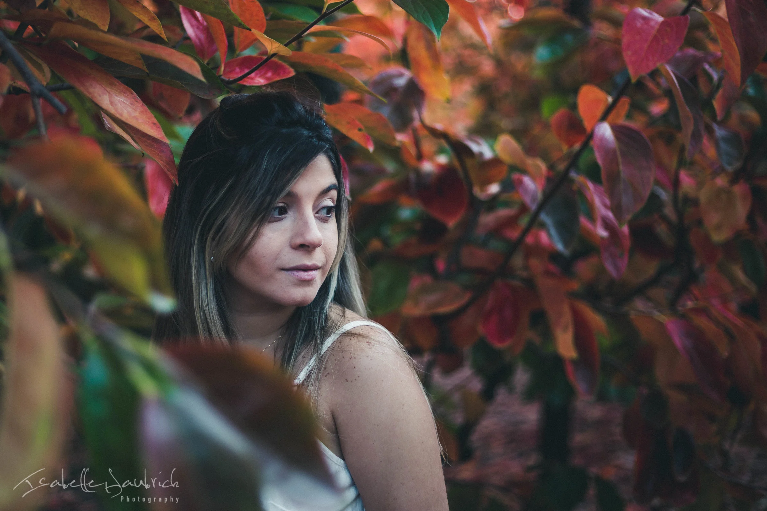 Fall