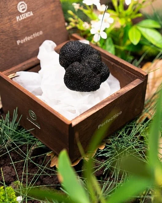 Dalrymple Vineyards 6-course Wine-Matching Truffle Dinner