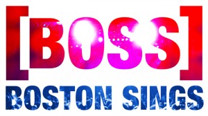 boss-logo-1_0-rectangle-web-300x168.jpg