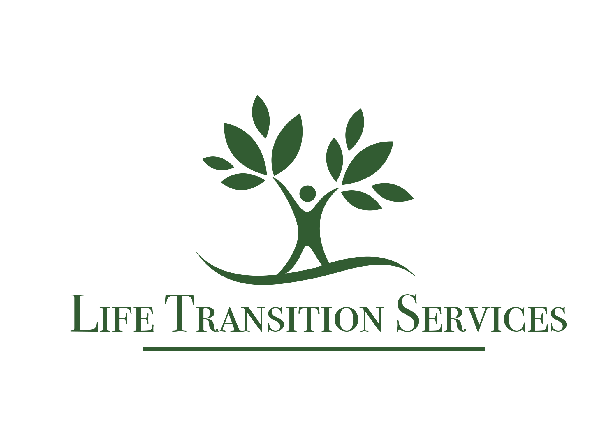 Life Transition Services 