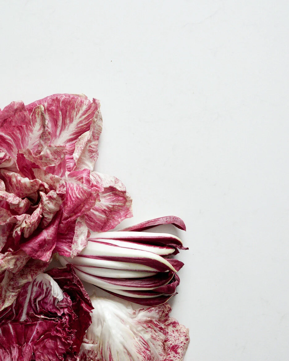 chicory-pink-revisit-capture-one-edit-final%203.JPG
