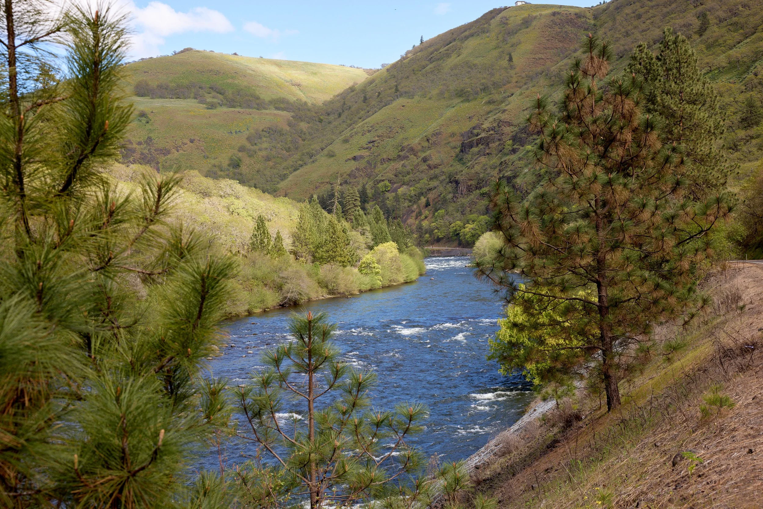 2026-04-11-hawkins-new-york-klickitat-canyon-cabin-lyle-wa-secondary-camera-00210.jpg