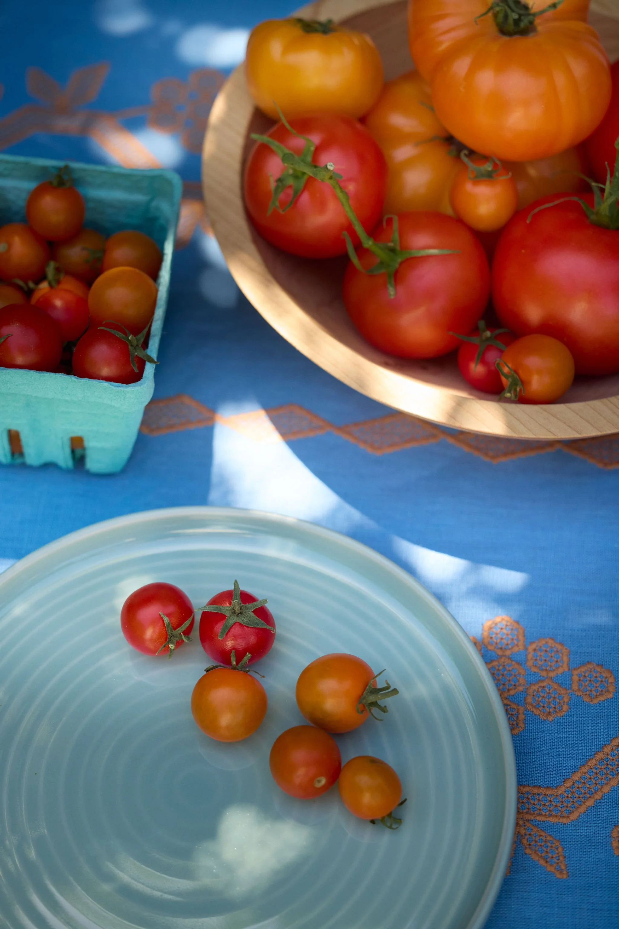 2026-06-17-hawkins-hazelfern-home-and-garden-tomato-themed-summer-shoot21802-087.jpg