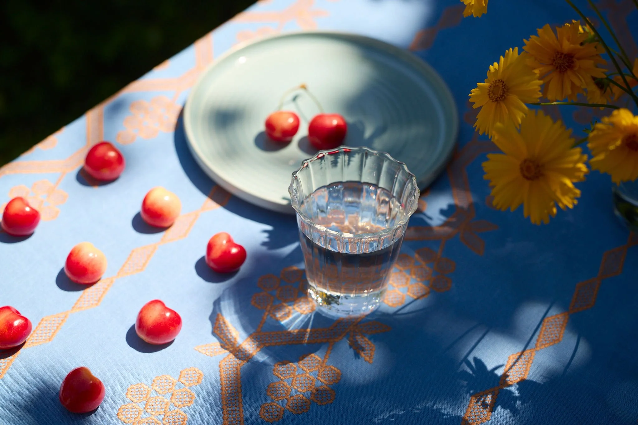 2026-06-17-hawkins-hazelfern-home-and-garden-tomato-themed-summer-shoot21802-127.jpg