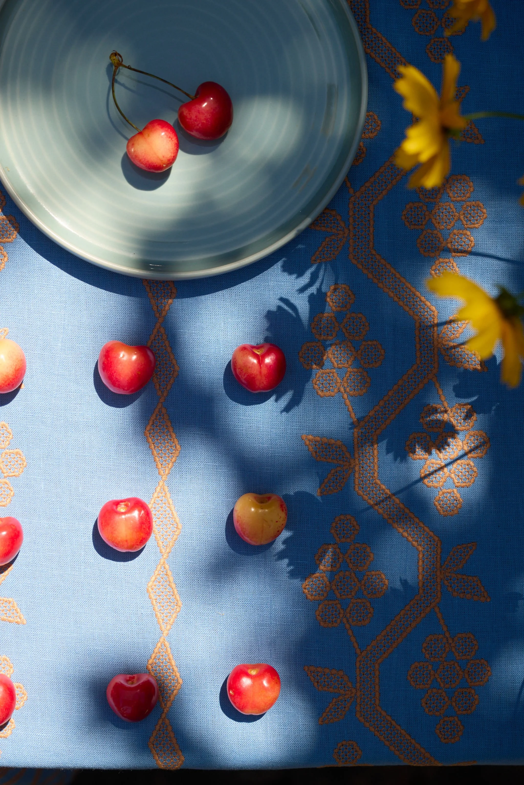 2026-06-17-hawkins-hazelfern-home-and-garden-tomato-themed-summer-shoot21802-144.jpg