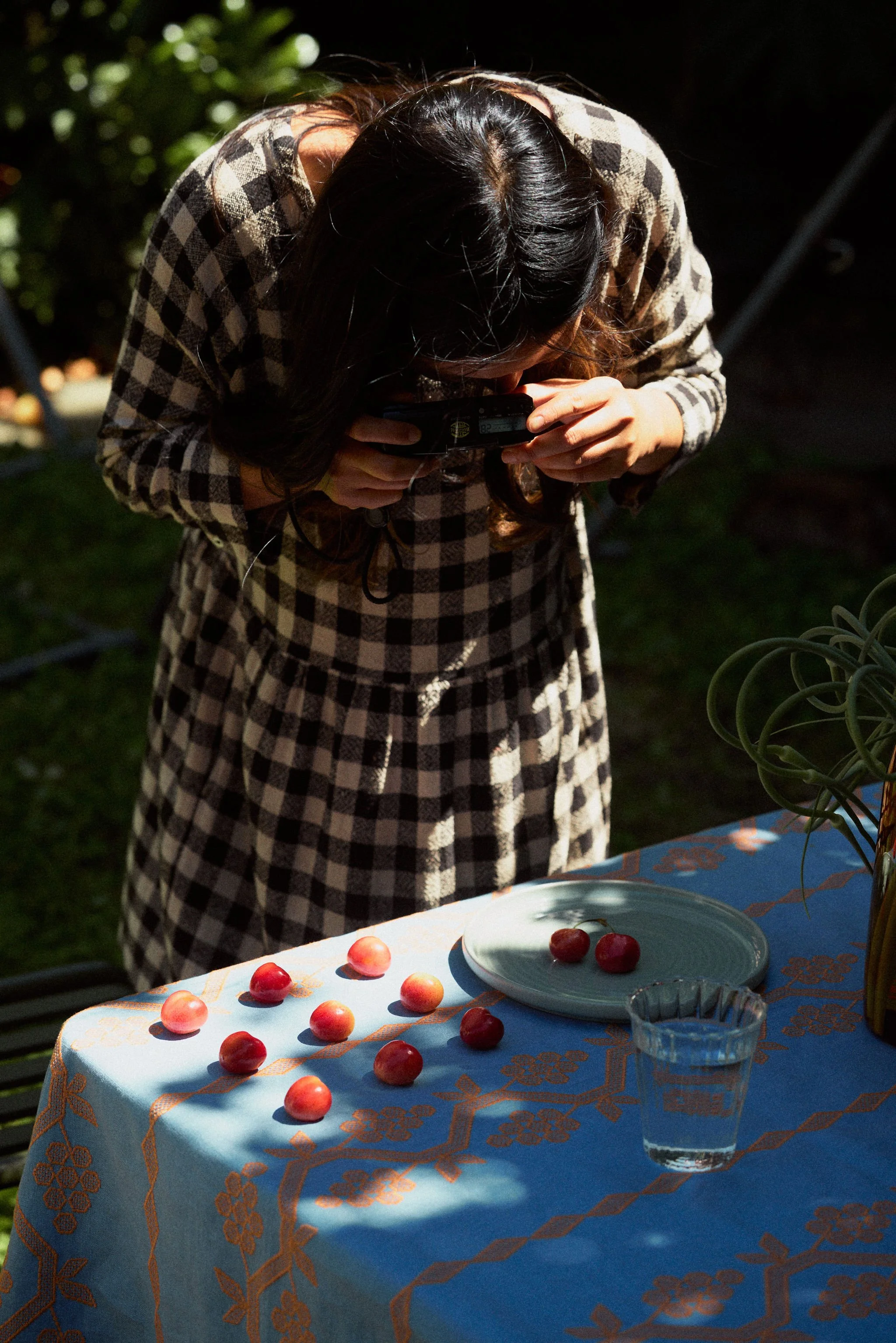 2026-06-17-hawkins-hazelfern-home-and-garden-tomato-themed-summer-shoot21802-121.jpg