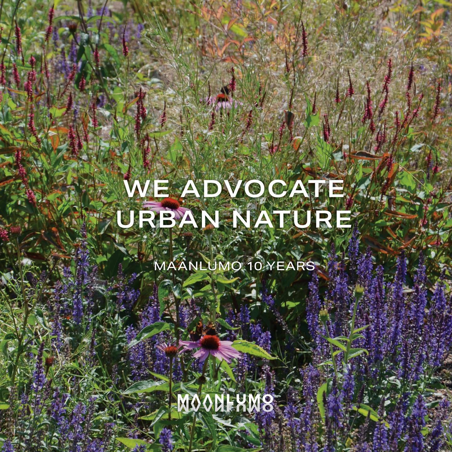 It is our job to bring more biodiversity to cities. Urban nature can have a profound positive effect on both physical and mental health of urban dwellers making cities more livable. Urban nature can also provide living spaces for species whose own ha