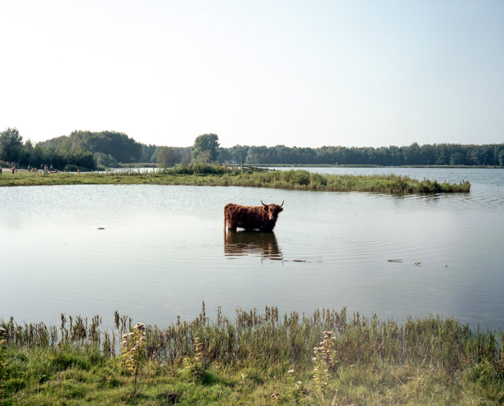 AMSTERDAM_041.jpg