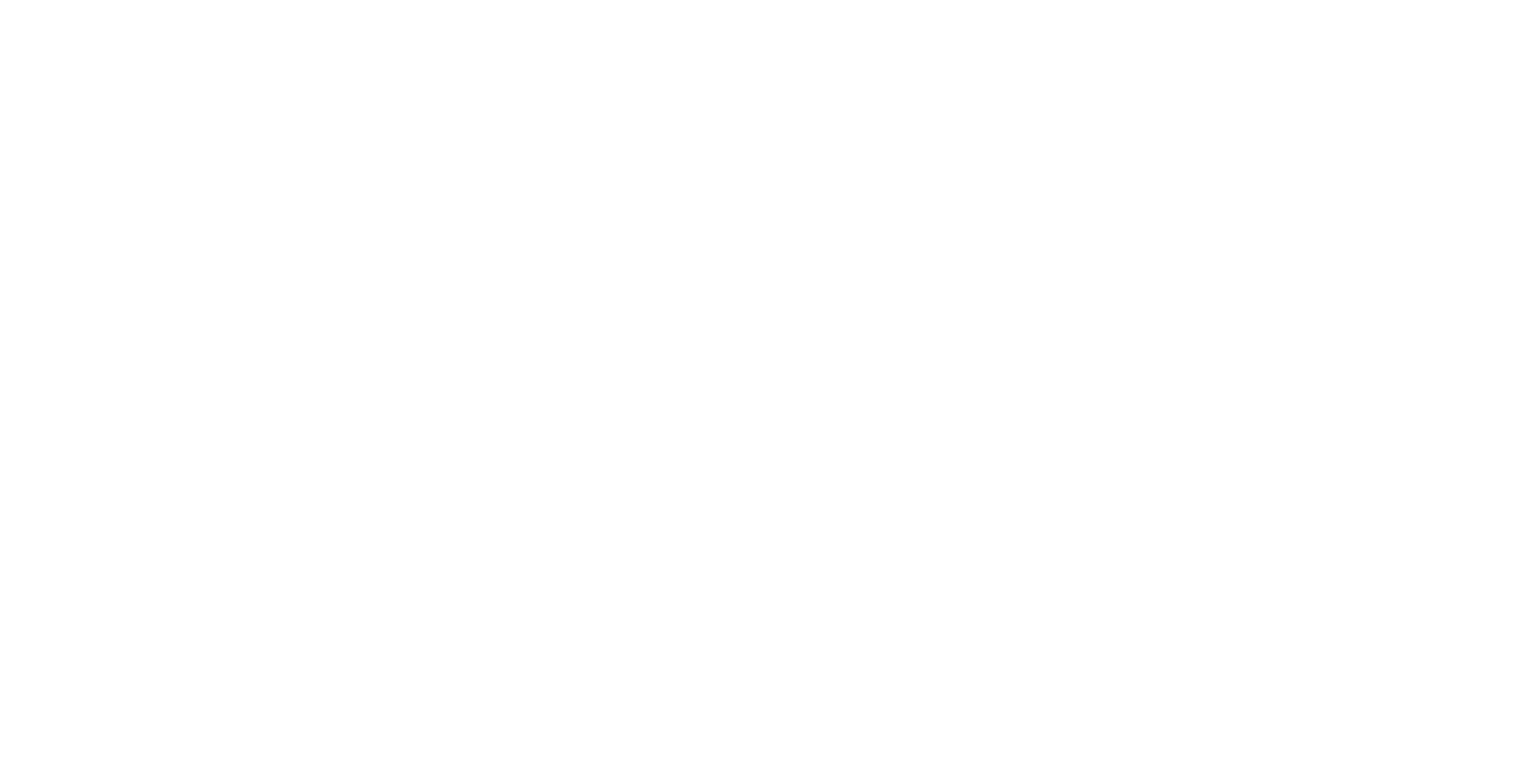 Oxe Burger