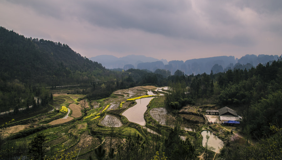 Zhangjiajie