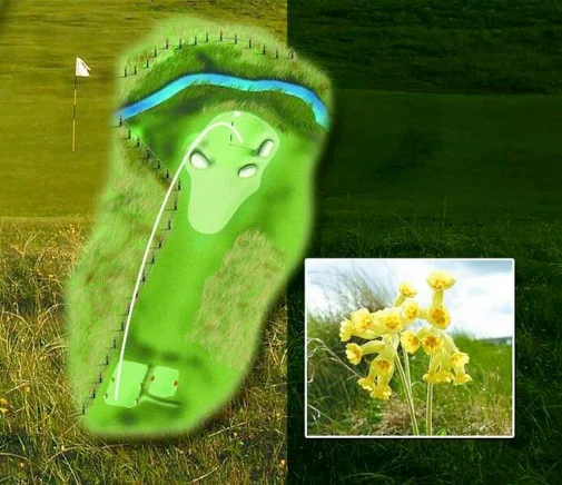 9th.jpg