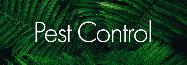 Pest Control.png