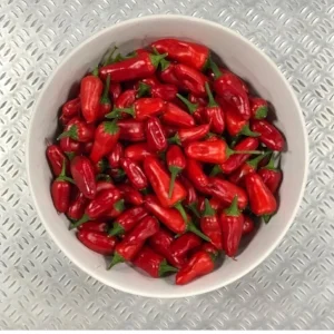 First Harvest 