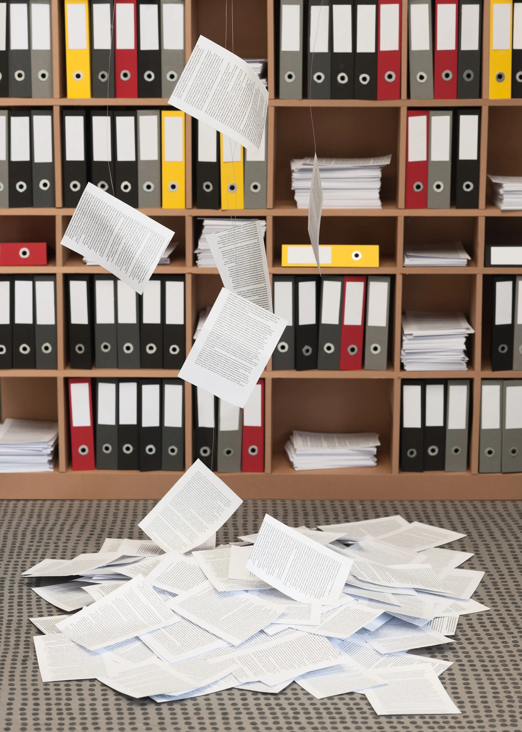 Bureaucracy