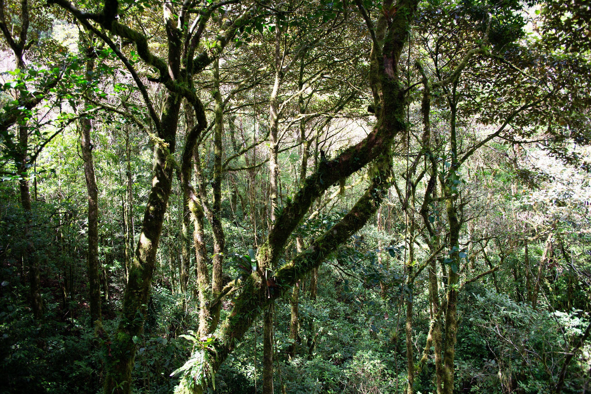 Costa Rica