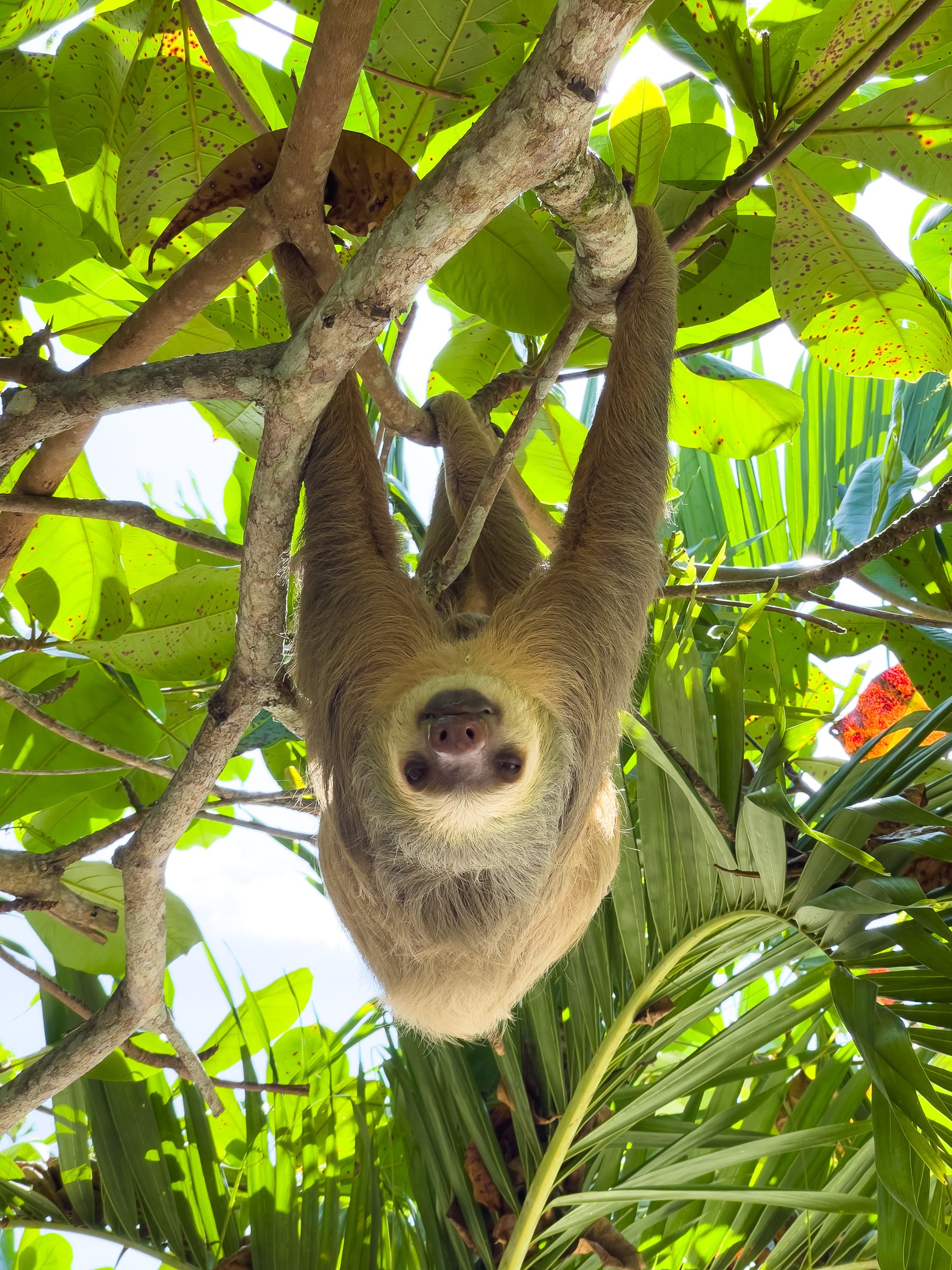 Costa Rica