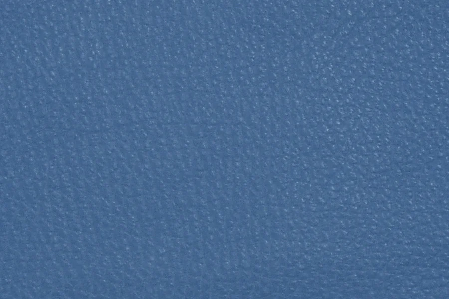Cornflower.jpg