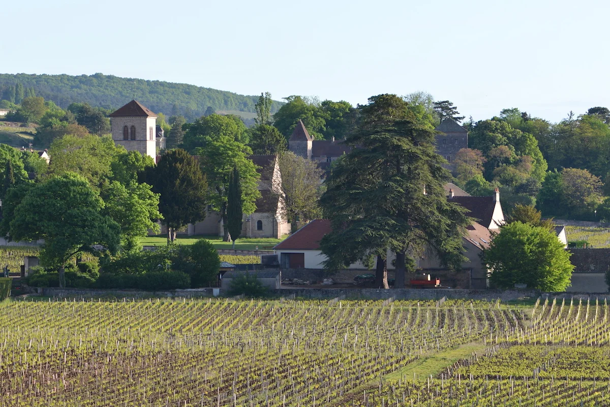 A view of our neighbour, Domaine Rousseau, and the Church St Aignan, at the top of Rue de l'Eglise. The Chateau de Gevrey in the background.