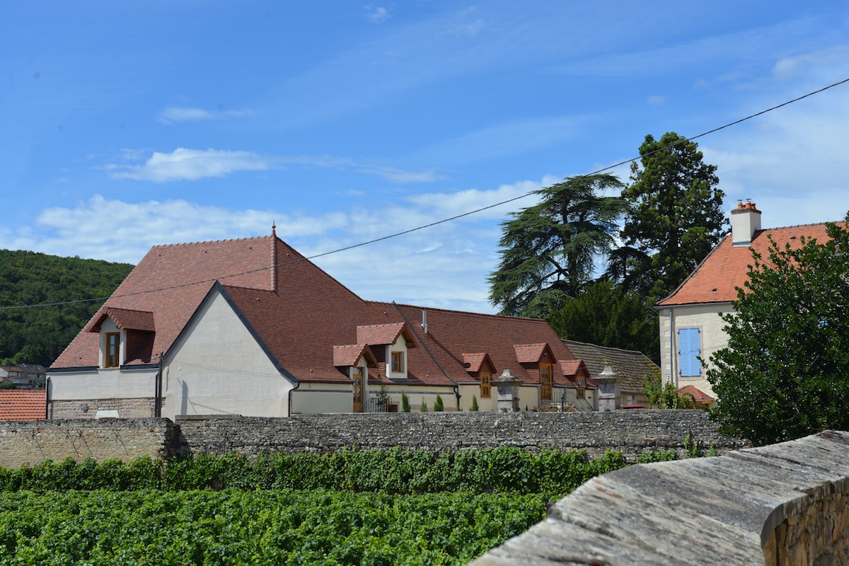 DSC_1141.jpeg