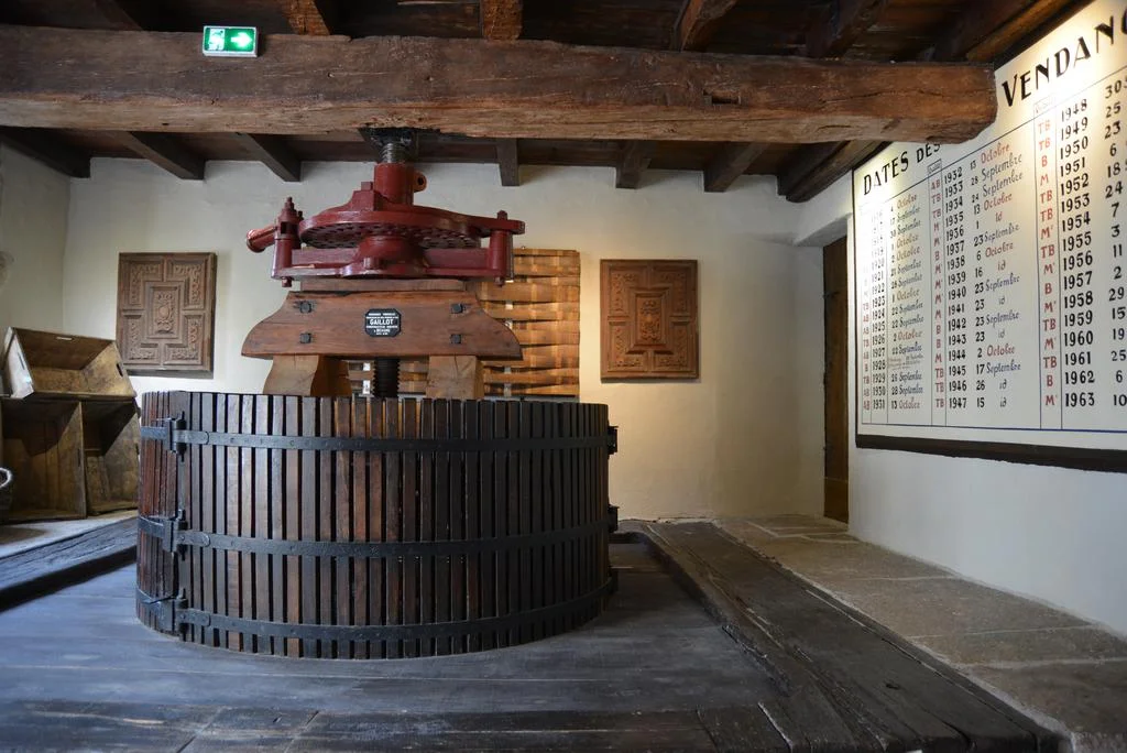 Wine Cellar