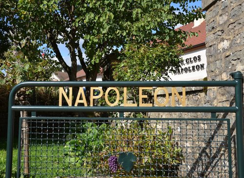 Au Clos Napoléon opposite the Vineyard Clos Napoléon