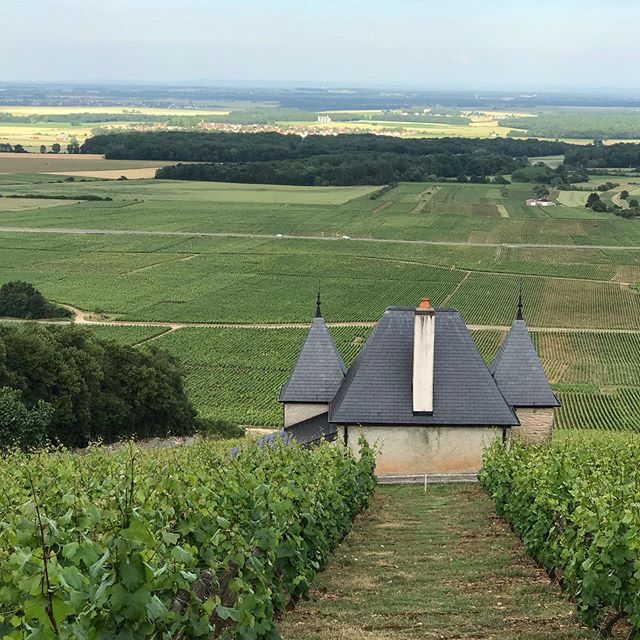 The Route Des Grands Crus, the 974, the Jura in the distance, and a lot of valuable land! @hotellesdeuxchevres #gevreychambertin #foodandwine #winelover #luxurylifestyle #magnifiquefrance #yogaeverydamnday #yogaretreat #goodvibes #restaurant #chef