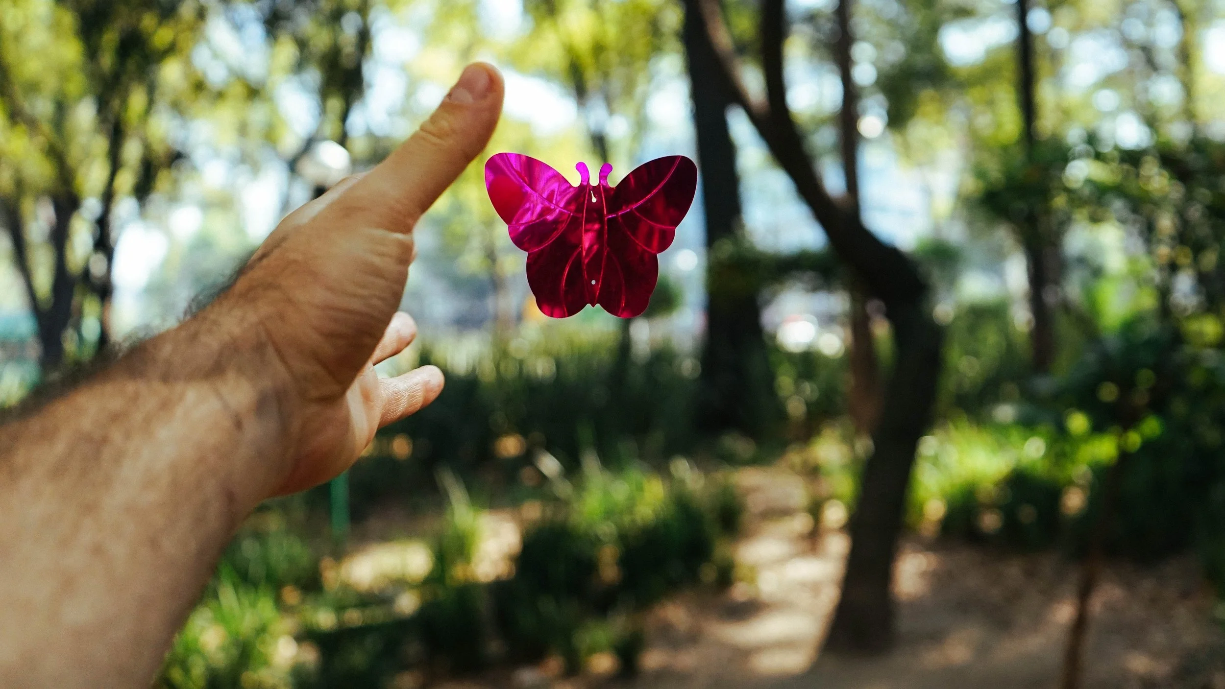 man releasing pink shiny butterfly into forest