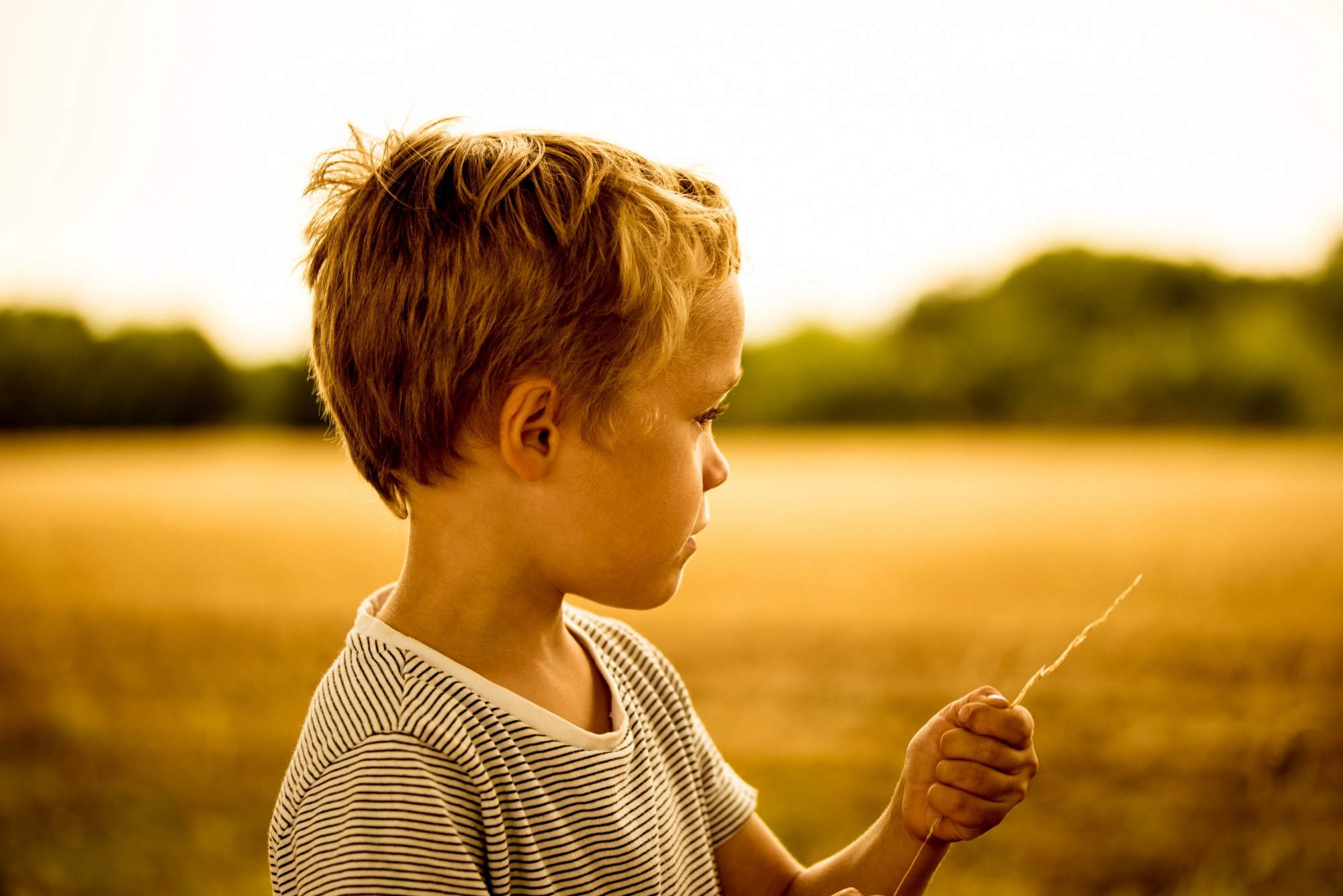 anxious young boy holding piece of straw looking at a field