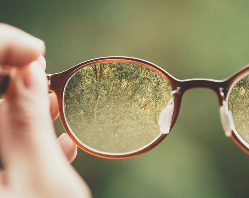 hands holding up glasses focused on trees