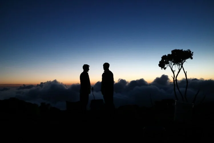two men standing on the periphery of madness