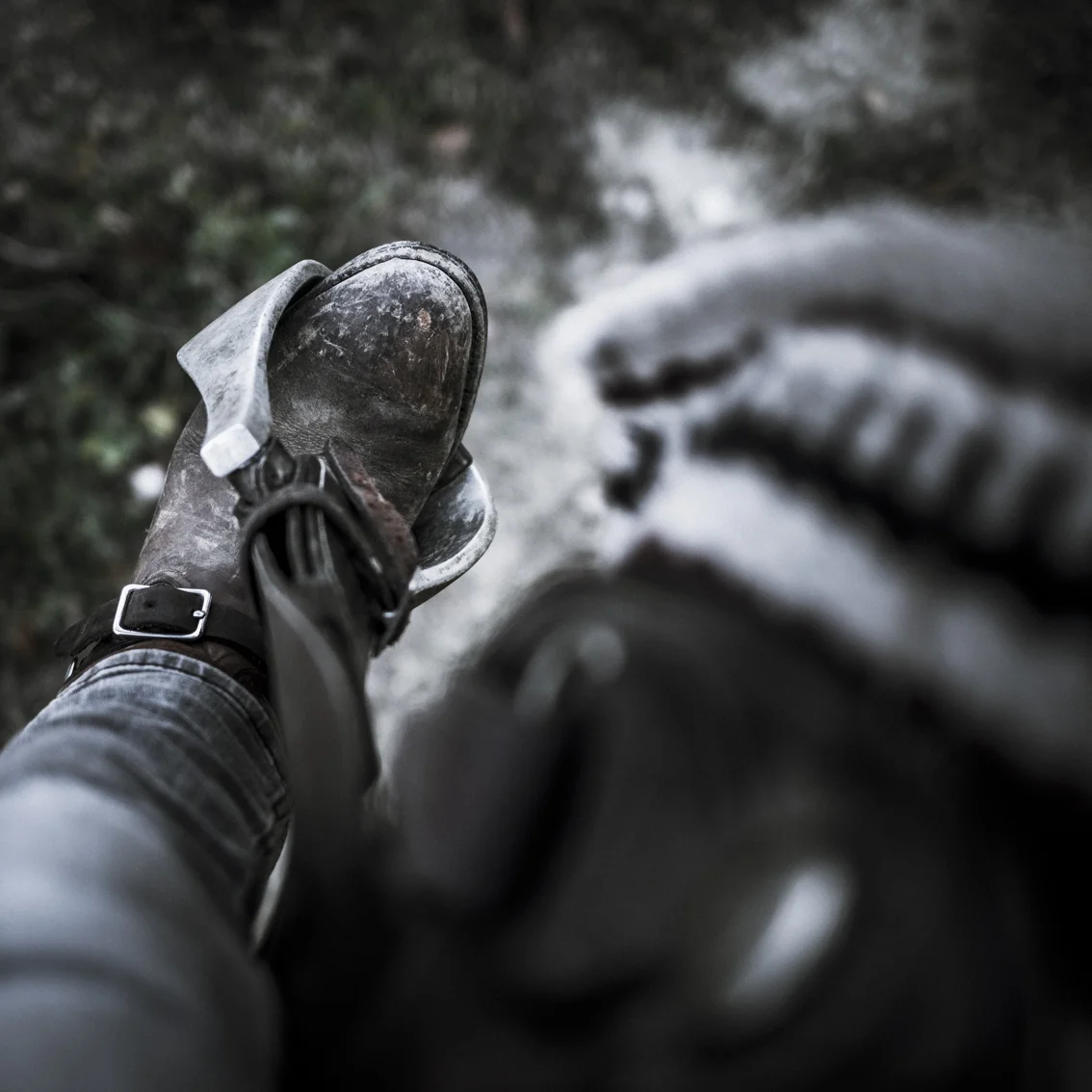 I'm a photographer and moved 6 years ago from Belgium to Italy. As 'presidente' I organize the daily activities of the non profit organization Il Missouri, and I go on the trails as the guide. These few things tell something about myself, and can maybe be interesting for horse & photography lovers. Karel Martha J.