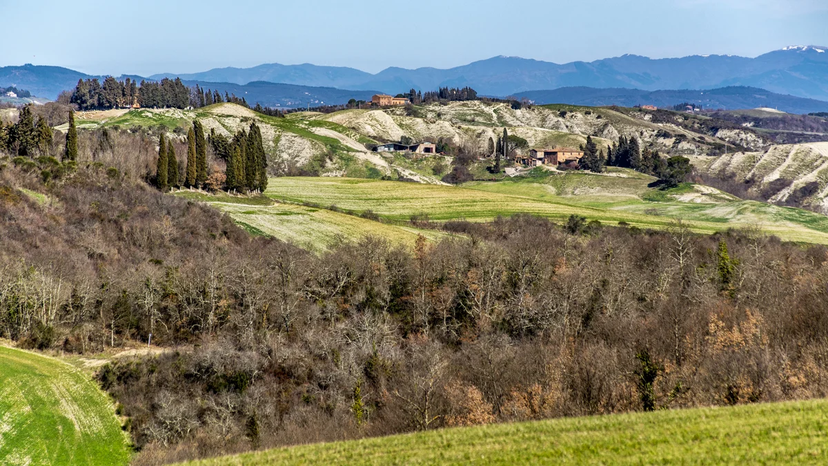 Questa è una passeggiata piena di panorami, tra le altre cose, per le straordinarie colline delle Crete Senesi.